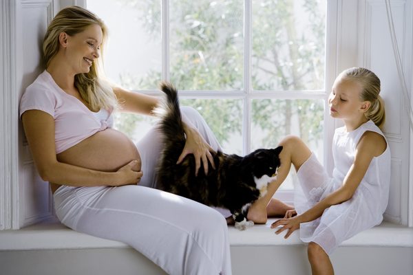 Кошка и беременность хозяйки