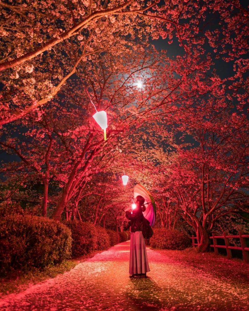 Волшебная Япония: городские и природные пейзажи глазами фотографа-путешественника