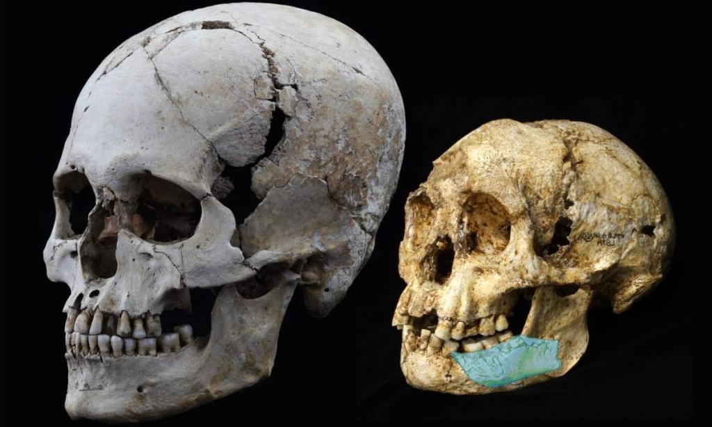 Неужели нашими предками были хоббиты: на Филиппинах были обнаружены останки древнего человека