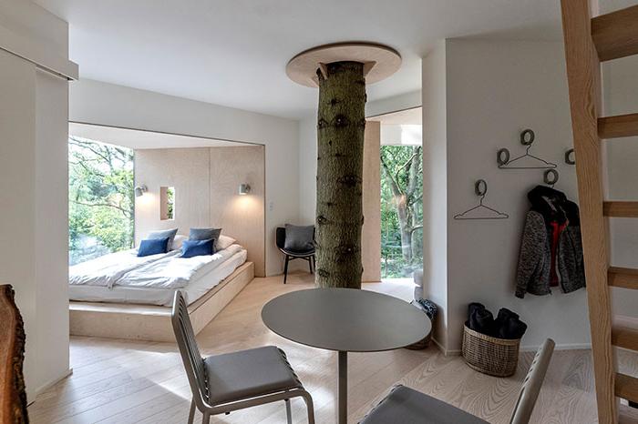 Житель Дании воплотил свою детскую мечту в реальность и построил домик на дереве, который превратил в мини-отель