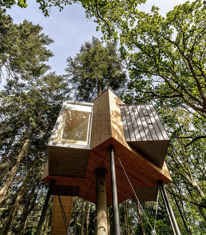 Житель Дании воплотил свою детскую мечту в реальность и построил домик на дереве, который превратил в мини-отель