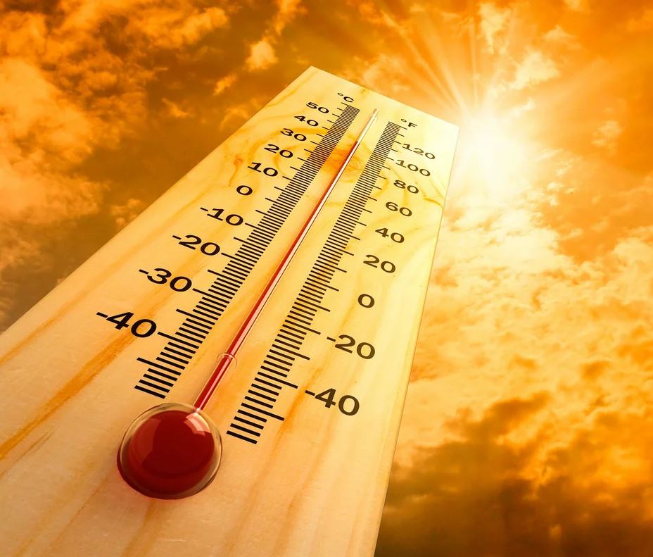 Лето, жара: признаки теплового удара и что нужно предпринять, если они появились