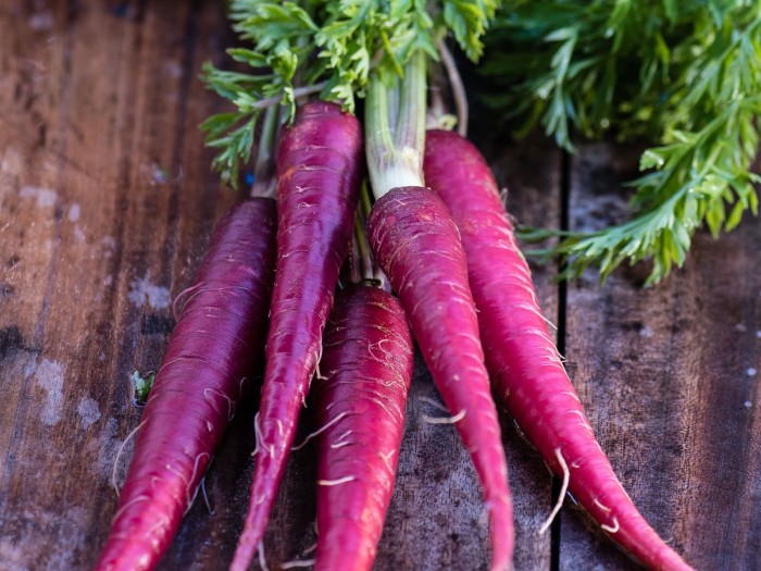 Радужная эволюция моркови: от фиолетовой к оранжевой