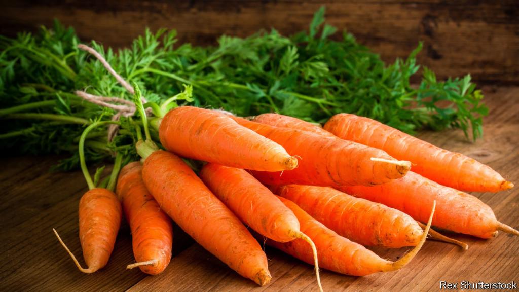 Радужная эволюция моркови: от фиолетовой к оранжевой