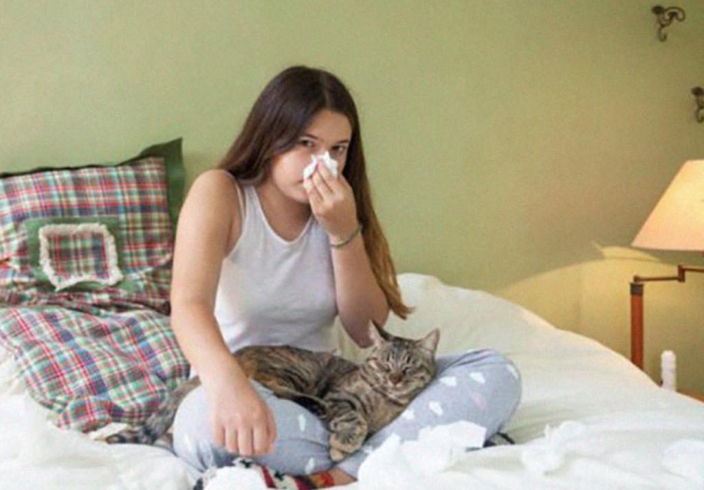 Швейцарские ученые придумали вакцину от аллергии на кошек - работает ли она на самом деле
