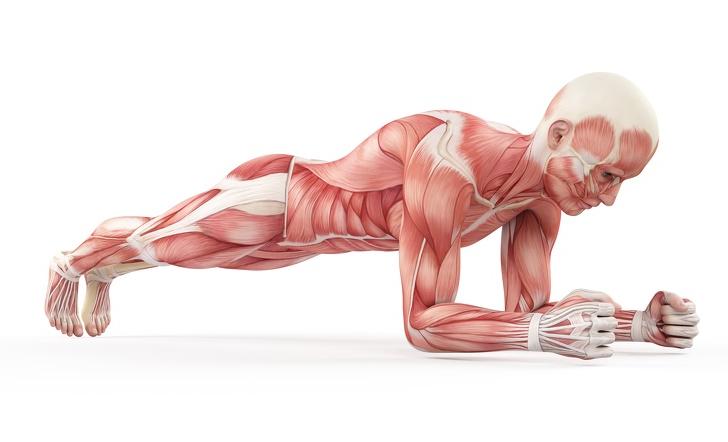 Я нашла упражнения, которые помогают накачать мышцы спины. Делюсь ими
