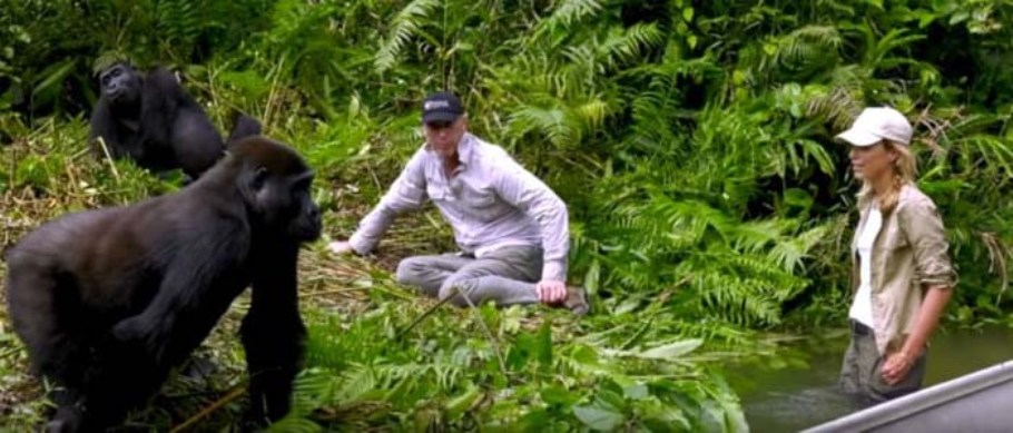 Жизнь среди горилл: зоолог везет новую жену в джунгли, чтобы познакомить ее со своими питомцами