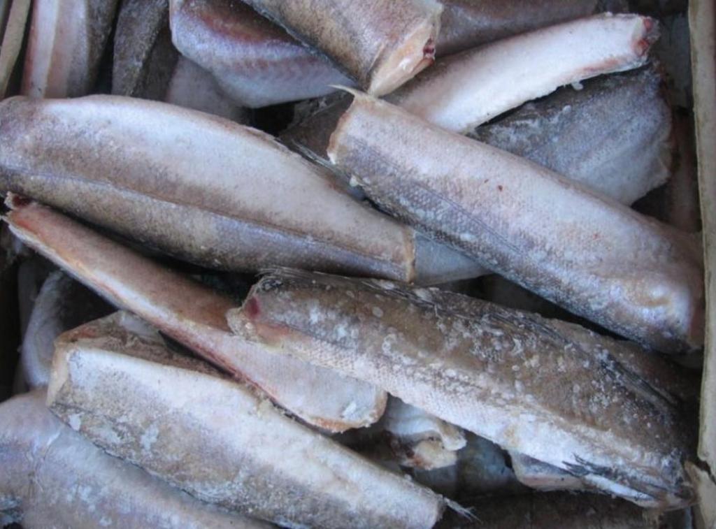Размораживание рыбы может привести к появлению бактерий: почему важно размораживать ее правильно