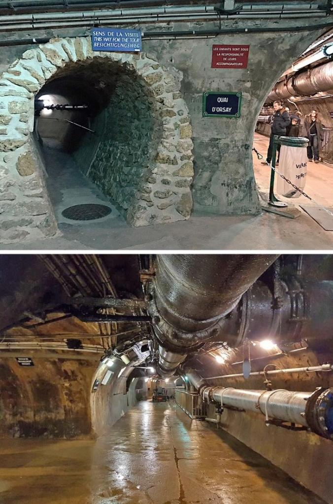 10 странных и интересных музеев, которые покорили многих: в Мексике есть подводный музей, а в США существует музей "Плохого искусства"