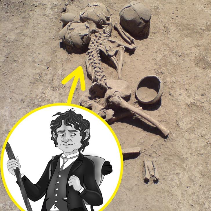 10 случайных археологических находок: 15000-летний череп нашли фермеры