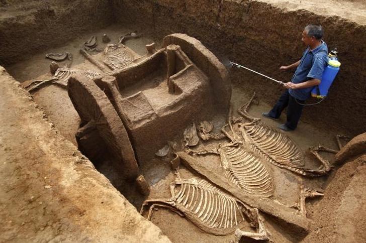 10 случайных археологических находок: 15000-летний череп нашли фермеры