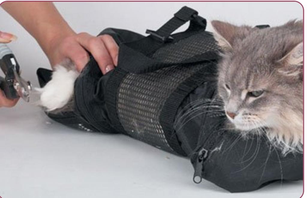 Последний писк в кошачьей моде: сумка для купания и гигиены кота "Прощай, царапины"
