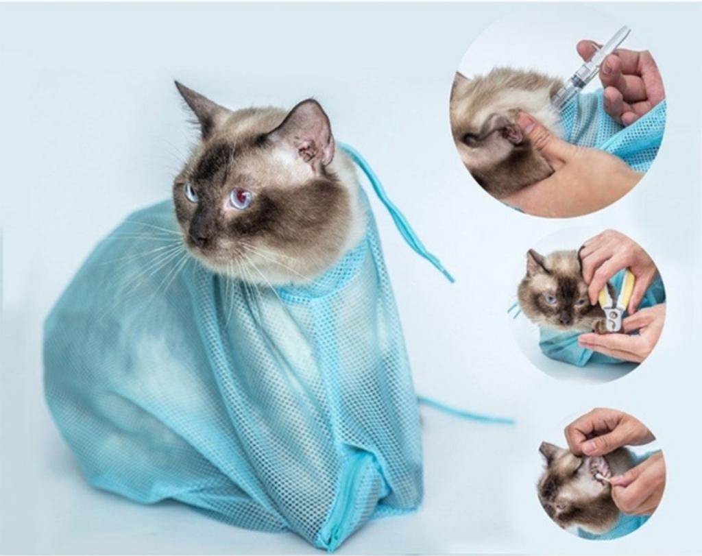 Последний писк в кошачьей моде: сумка для купания и гигиены кота "Прощай, царапины"