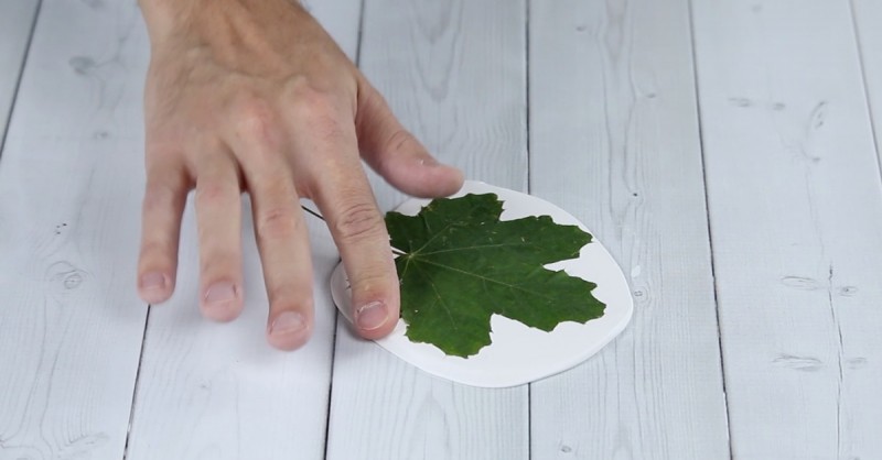 Вторая жизнь опавших листьев: как сделать миски-листья для украшений своими руками (видео)