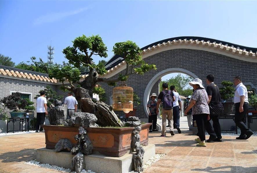Туристы удивлены "экологическому прогрессу" Китая. Новые технологии борьбы с опустыниванием и биоразнообразие