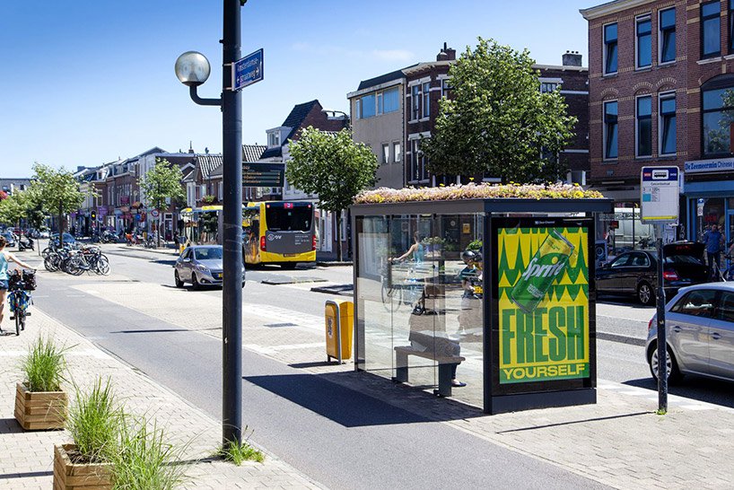 В Голландии с особым уважением относятся к пчелам: 320 обычных автобусных остановок были покрыты газоном и дикими растениями, чтобы насекомые могли добывать пыльцу