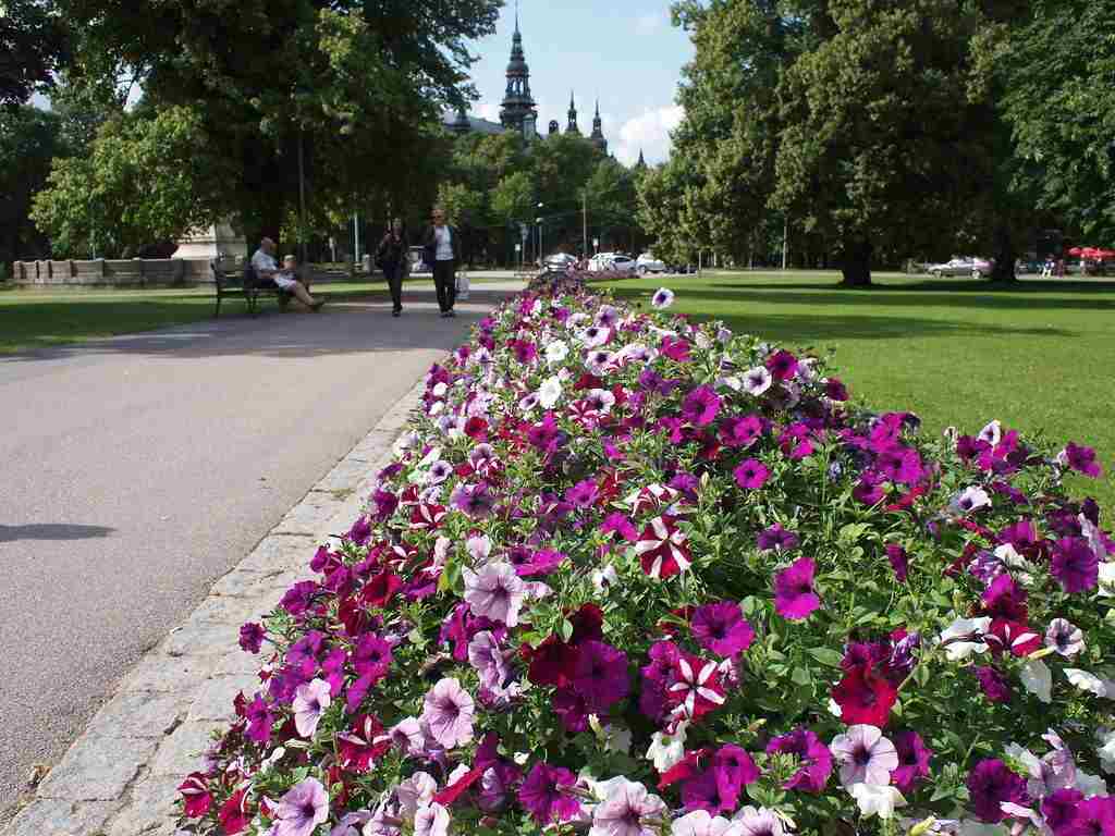 Королевский дворец, городская ратуша, музей "Васа": куда сходить, и что посмотреть в Стокгольме (Швеция), если это первая поездка