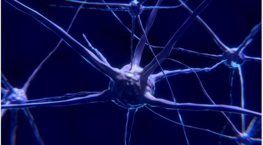 Внутри мозга нейронов гораздо больше, чем людей на всей планете: занимательные факты о нервной системе