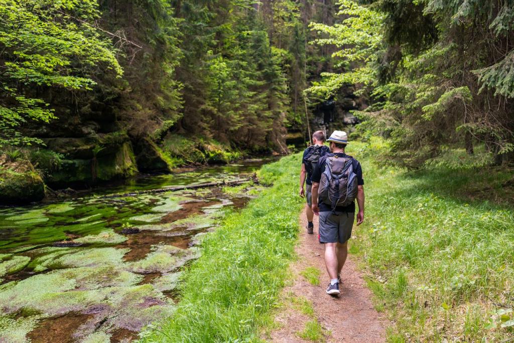 Национальный парк Саксонская Швейцария в Германии: скалолазание, пешие походы и другие виды досуга для активных туристов