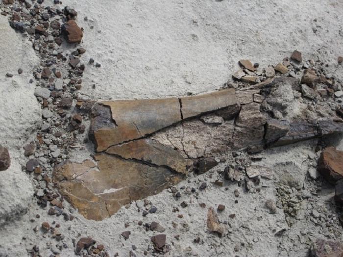 Реставраторы повредили маску Тутанхамона. Уникальные сокровища, которые были разрушены из-за человеческой небрежности