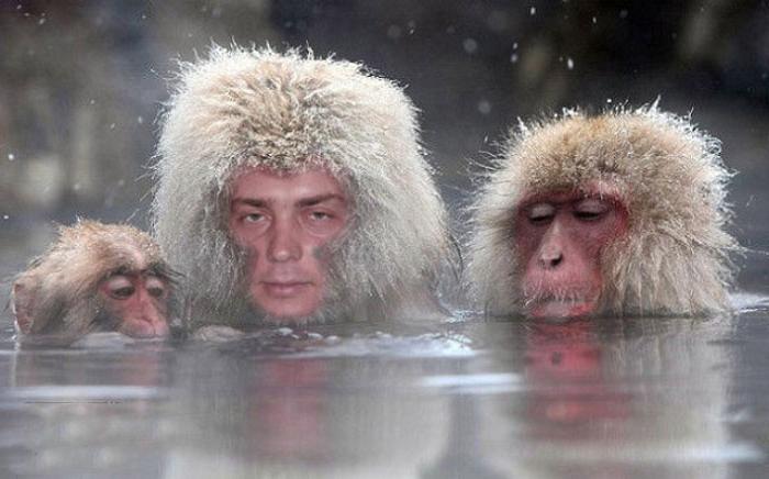 Русское чувство юмора: только в России люди воплощают в жизнь странные фотосессии, которые поражают чопорный Запад