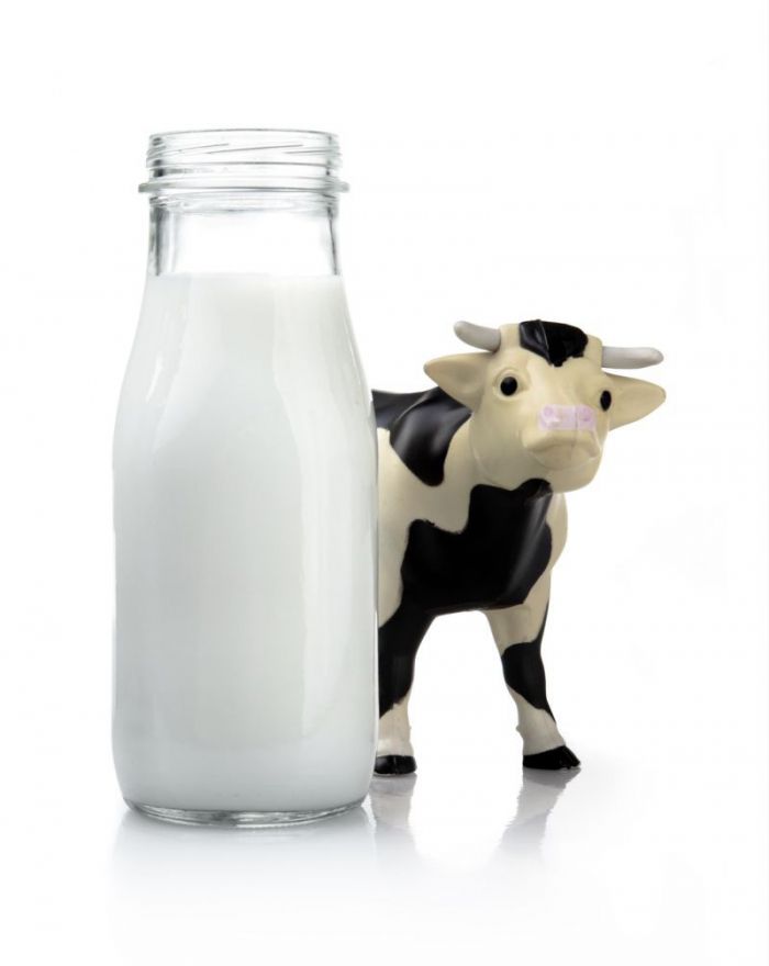 Где Можно Купить Коровье Молоко
