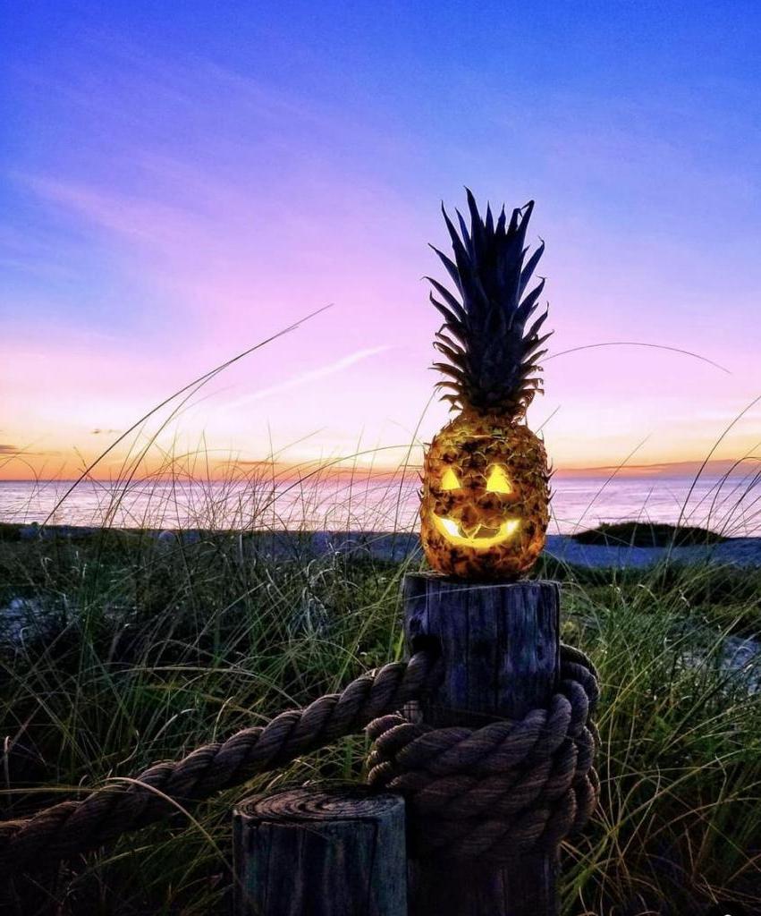 Хэллоуин с тропической ноткой: ананасы страшнее тыкв