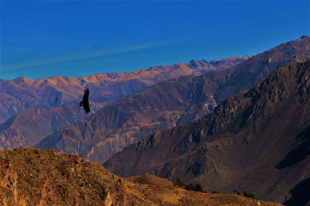 От древнего Мачу-Пикчу и линий Наска до Радужных гор: самые впечатляющие и красивые места в Перу
