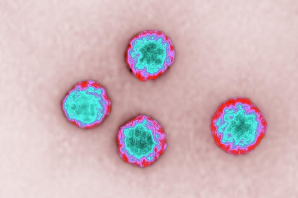 Увлажнение воздуха в сезон гриппа не даст вирусам свободно "летать в воздухе": исследование Стефани Тейлор