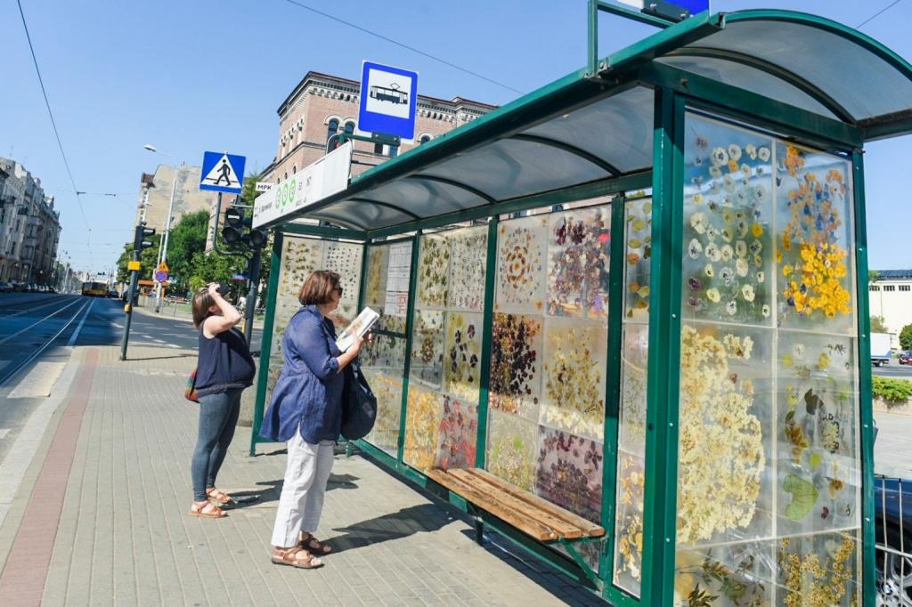 Трамвайная остановка в Польше превратилась в уникальную выставку гербария (фото)