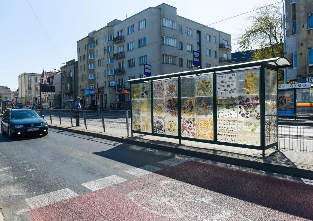 Трамвайная остановка в Польше превратилась в уникальную выставку гербария (фото)
