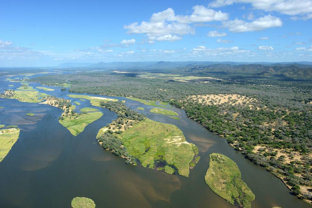 Спорное новое исследование утверждает, что древние болота к югу от реки Замбези были оазисом, из которого вышли все современные люди