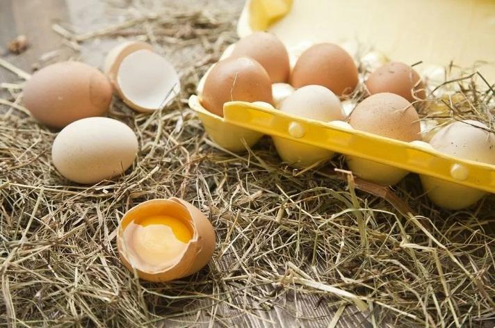 Ученые назвали 9 привычных продуктов, которые могут вызвать отравление: какую опасность таят куриные яйца