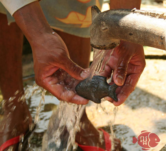 Железная рыбка за 25 $: она способна увеличивать количество железа в воде и пище, принося пользу здоровью