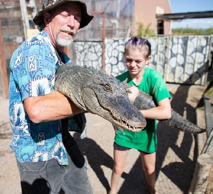 Красавица и чудовища: бесстрашная девчушка заботится об аллигаторах, помогая своему дяде на семейной ферме
