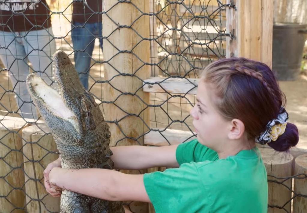 Красавица и чудовища: бесстрашная девчушка заботится об аллигаторах, помогая своему дяде на семейной ферме