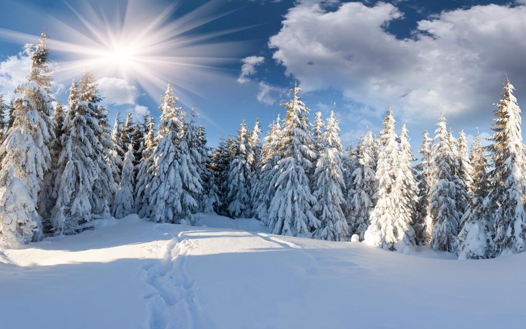 Не стоит бояться приближения зимы. Советы, как построить образ жизни, который фокусируется на ощущениях тепла, уюта и общего благополучия