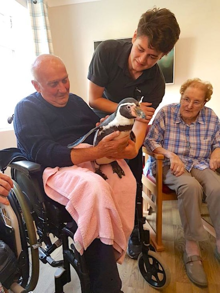 99-летняя Джойс Гарднер мечтала увидеть живого пингвина. И ее желание исполнилось
