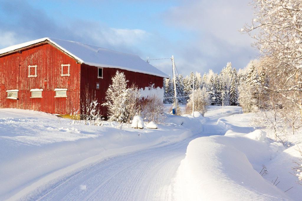 Самая уютная страна, или Почему я каждую зиму езжу в отпуск именно в Норвегию