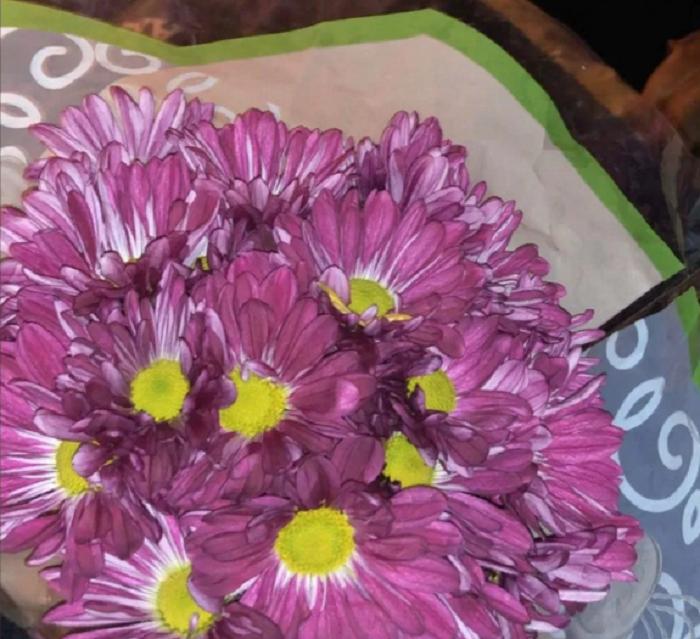 Молодой человек подарил цветы подруге, которую бросил парень: почему же пользователи не оценили его поступка