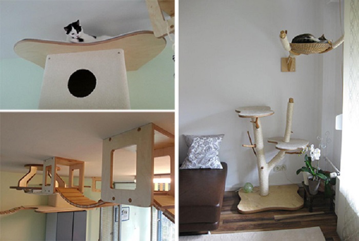 Настоящее приключение для питомцев! Люди превращают свои дома в игровые комнаты для кошек