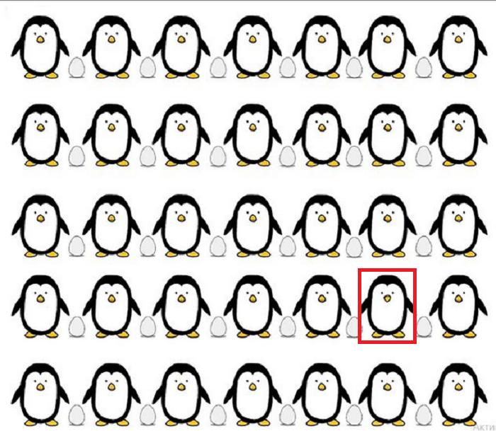 Тест на внимательность: на картинке 35 пингвинов, но только один отличается от других