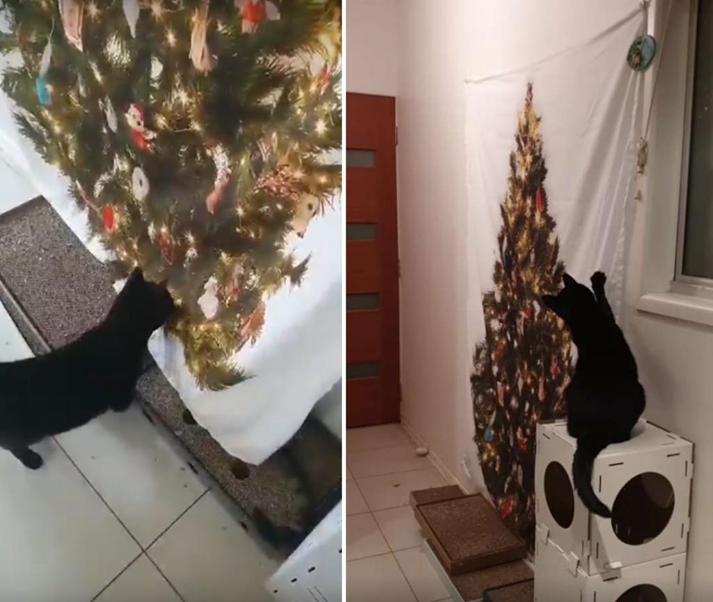 Вроде есть, а вроде и нет: девушка придумала лайфхак, как защитить елку от кошки