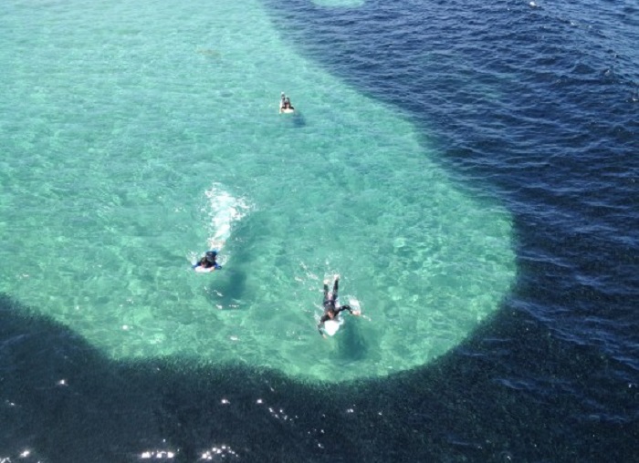 В море Южной Калифорнии собрался огромный косяк анчоусов: это выглядит как гигантское нефтяное пятно