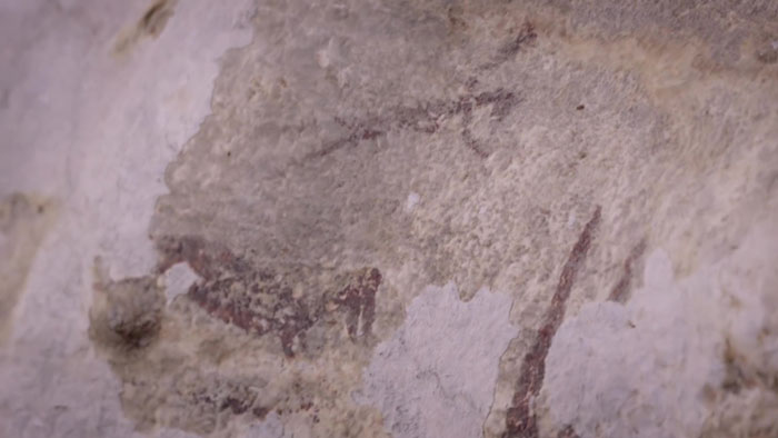 Охота на карликового буйвола: в Индонезии обнаружили самые древние экземпляры наскальной живописи в мире