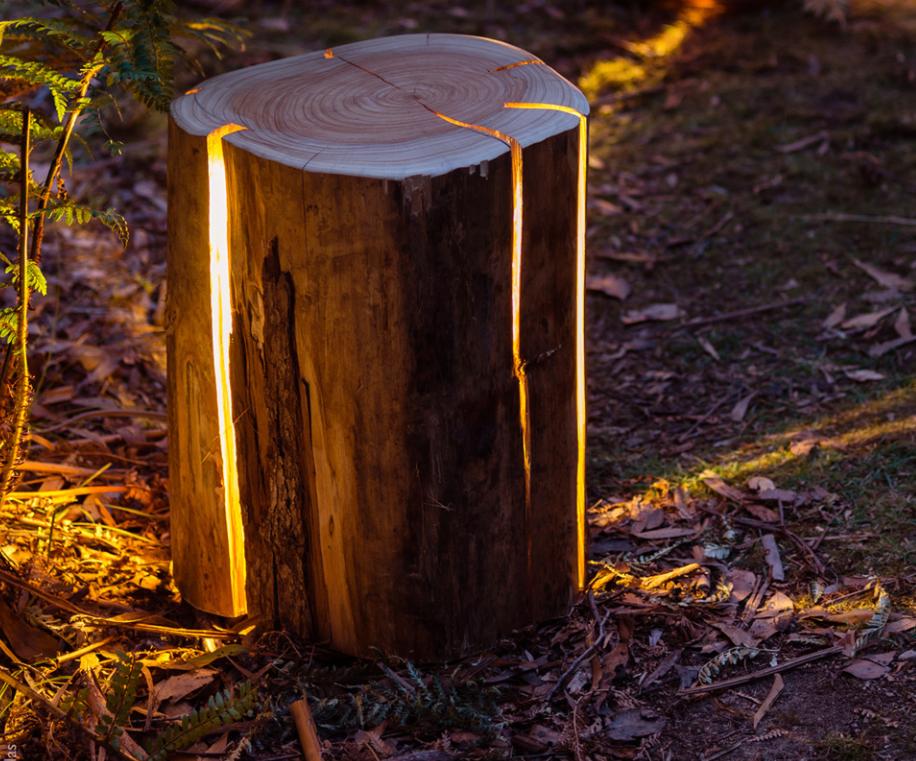 Украсить свой сад необычно: дизайнер из Тасмании делает удивительные светящиеся лампы из бревен