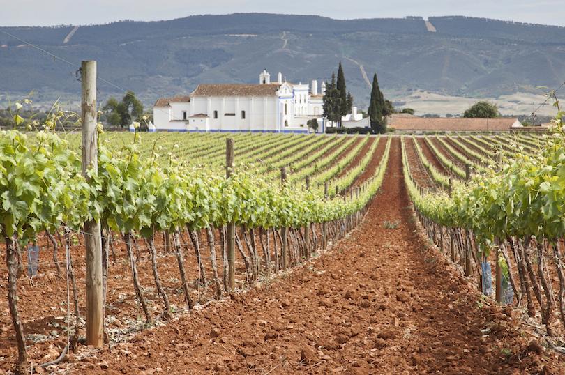 7 самых красивых регионов Португалии: куда стоит отправиться в путешествие