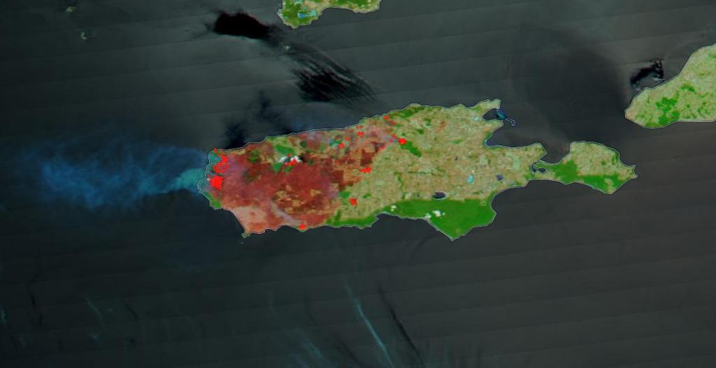 Снимки со спутника NASA Terra: фото до и после пожаров австралийского острова Кенгуру