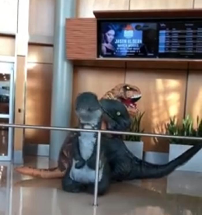Внуки пытались удивить бабушку в аэропорту, нарядившись в костюмы динозавров, но она оказалась хитрее (видео)