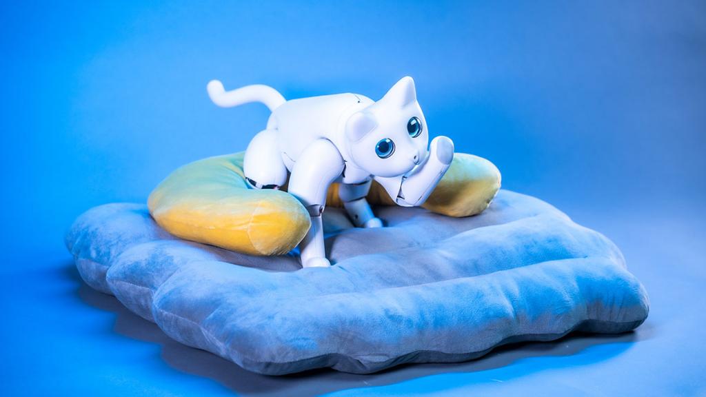 Мурлыкающая кошка-робот реагирует на прикосновения и даже может играть с игрушками